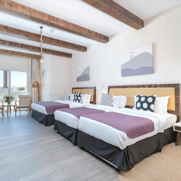 Premium Executive Room